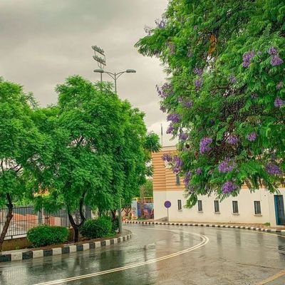 W1bekeri's profile picture. ‏‏‏‏‏‏‏‏‏‏‏الوقت كالسيف ،والعمر كالضيف.
لايهينك إلا مهان ولايستصغرك إلا صغير.
،.