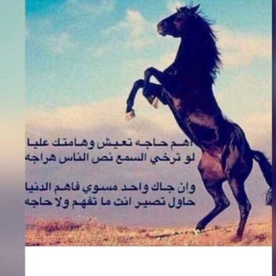 ksa__1789's profile picture. انسانه شفافه احب الخير للجميع  حكمتي في الحياة انا ما أصابك  لم  يكن ليخطئك وما أخطأك لم يكن ليصيبك.