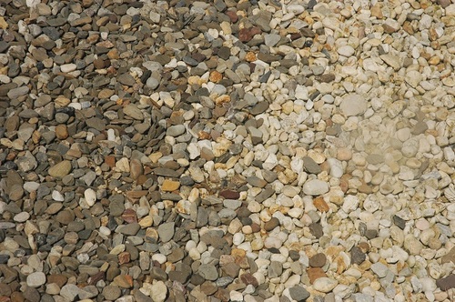 HormoneBalance1's profile picture. 