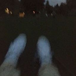 Melis10206759's profile picture. 