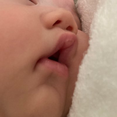 ট ইট র ほくろちゃん 4m え まじですか 笑 凄い ポイズン的な 新たな赤ちゃんが泣き止む歌が生まれた おのみさん 最近大丈夫じゃなさそうですね ツイート見てて辛そうだなと思いました Twitterで沢山吐き出してくださいね 見守って