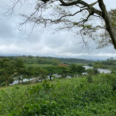 MTLe28854956's profile picture. 