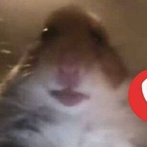 Blueblya's profile picture. 