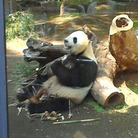 じゃんじゃん (@nsaidtz7ttdo6d2) 's Twitter Profile