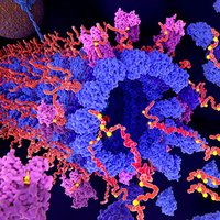 Journal of Systems Biology & Proteome Research (@journalreserch) 's Twitter Profile