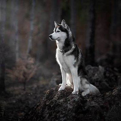 prespective02's profile picture. 