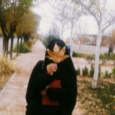 دانشجوی فیزیک؛ کمی نویسنده؛ کمی گویندگی و تاریخ شفاهی انجام میدم؛ تیراندازِ نیمه ماهر؛ عضوی از مادرانهایها♥️