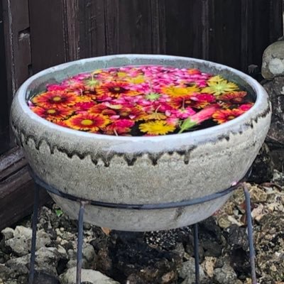 Ay2ELxrBCHqBTLq's profile picture. 