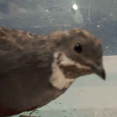 Into science and legalTech. Loves to learn more about C# and SQL