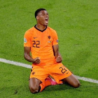 Denzel Dumfries Profile