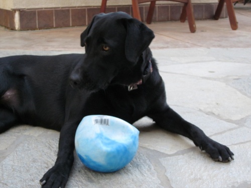 CustardQueen's profile picture. Love info about Health and Macs!