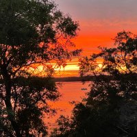 Kim Cole (@kc_pattan_east) 's Twitter Profile