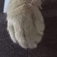 dada (@galaxyge_00) 's Twitter Profile