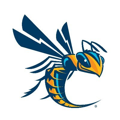 Official Twitter home of the NCAA Division II Cedarville University Yellow Jackets. #CUJackets