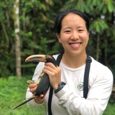 Bird nerd, PhD student in ecology, and @NSFGRFP fellow at @ucdavis 🐦🧗🏻‍♀️🎨