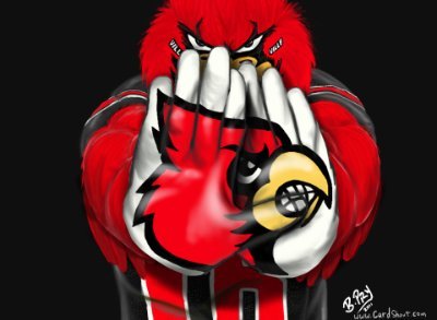 Louisville Cardinals fan