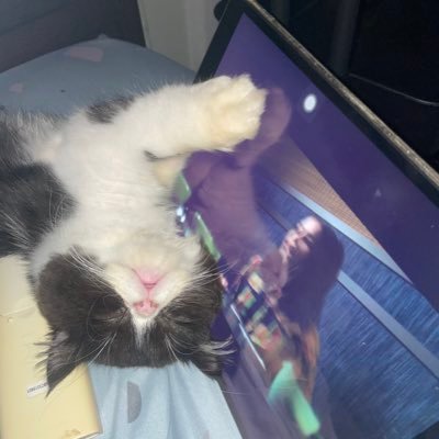 aalnbs's profile picture. 