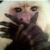 Joseph Lee (@forkjoseph) Twitter profile photo Joseph Lee (@forkjoseph) Twitter profile photo