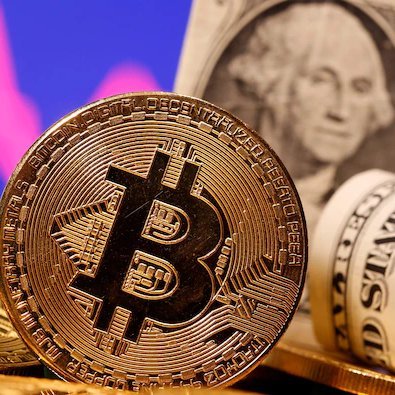 cryptobert15's profile picture. 