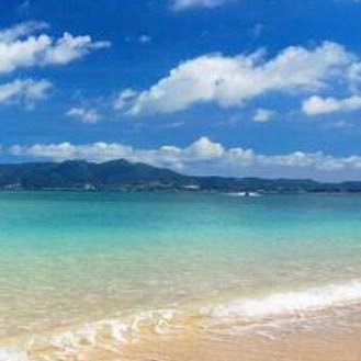 tooaaa12's profile picture. 