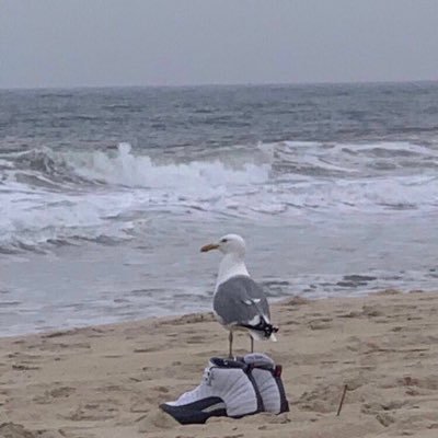 _Iyanuu_'s profile picture. https://t.co/28pNcuuW9W Pablo’s essentials 🔌🔌 #Hala madrid🤍🤍