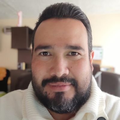 Auditor de Sistemas de Información | Infraestructura y Seguridad de la información | Project Manager | Etical Hacking | Comunity Mánager | Máster Data Mining.