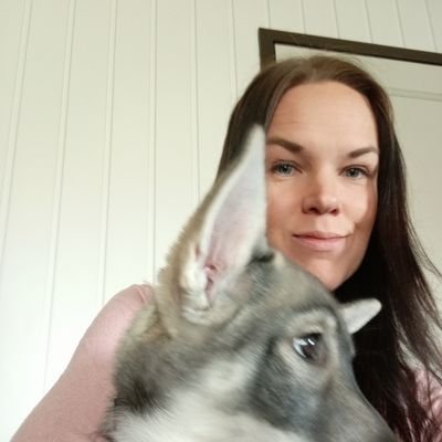 MaijaSiiskonen's profile picture. Perussairas maalta. Töissä talouden asiantuntijatehtävissä. Kulkutautikielteinen. Naimisissa.
