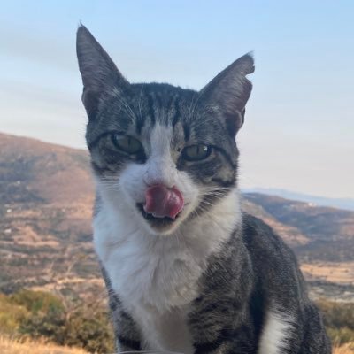 Tsiou45927271's profile picture. 