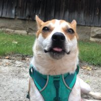 A Aron (@binksterr_) 's Twitter Profile