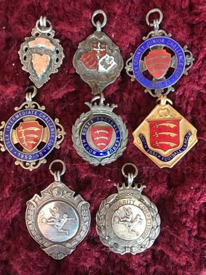 DavidWi81919545's profile picture. Heybridge Swifts, Ipswich Town, Essex CCC and bring back Speedway to Essex fan.
