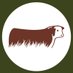 HEREFORD URUGUAY (@hereforduy) Twitter profile photo HEREFORD URUGUAY (@hereforduy) Twitter profile photo