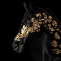 Sara Al_Hafez (@sara_al_hafez) 's Twitter Profile