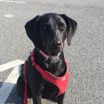 SanFranNative42's profile picture. A Person Will Troll You for One of Three Reasons...1. They Want To Be You 2. They Hate Themselves 3. They See You As A Threat To Their Beliefs