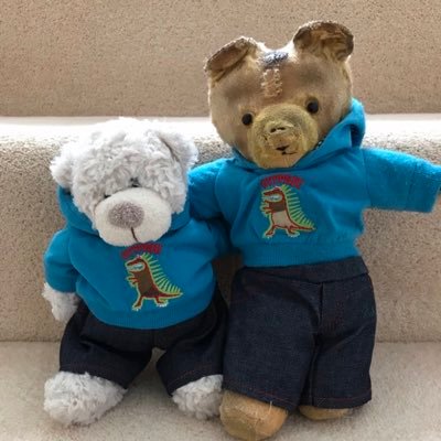 JustTeddy15's profile picture. An old fashioned teddy bear with a sense of fun and with Youngun, Littleun, Newun and Lastun plus Ma and Pa . We look after our Jonathan