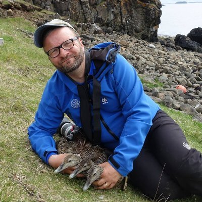 Biologist studying birds (ducks, geese and seabirds). Director of University of Iceland Research Center at Snæfellsnes, West Iceland.