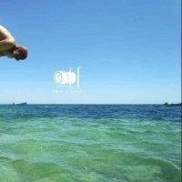 Gauss gow (@gow_gauss) 's Twitter Profile