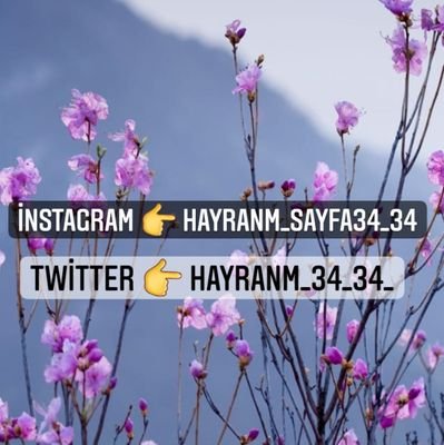 hayranm_34_34_