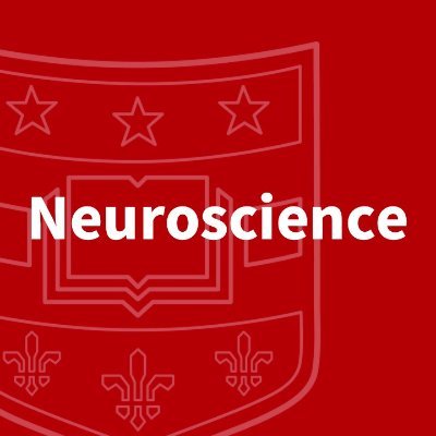 WUSTLneurosci Profile Picture