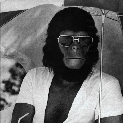 in a world of chimpanzees I was a monkey...

 https://t.co/oyePVTOm0R