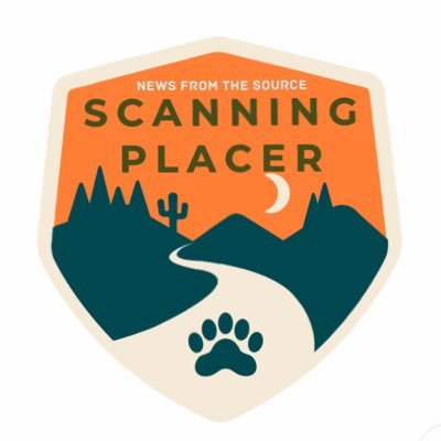 ScanningPlacer