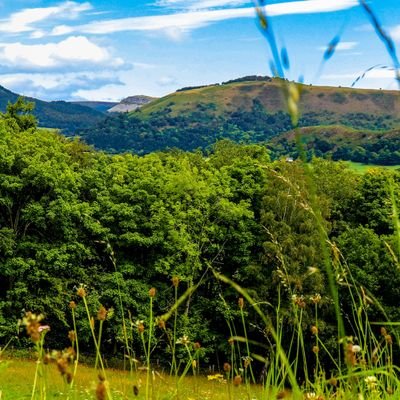 kvithsp's profile picture. 