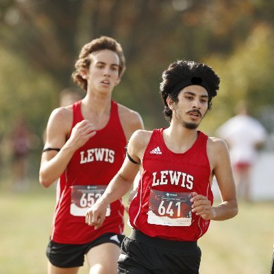 The official Twitter page of the Lewis University Men's Cross Country team.