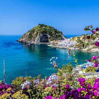 Rosanna32032180's profile picture. Detesto le assurdità