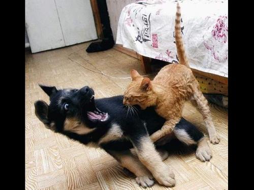 AtestZtest16's profile picture. 