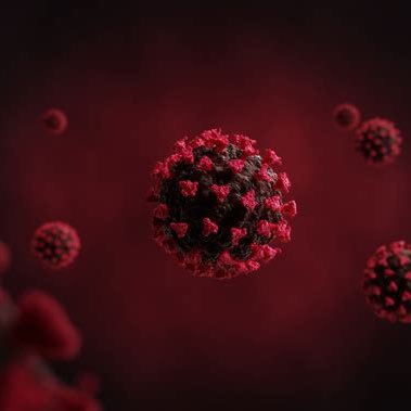 Covid-19 case/vaccine updates, patterns, and more news and information.
All case data comes from the Florida DoH.
Not affiliated with MDC government.