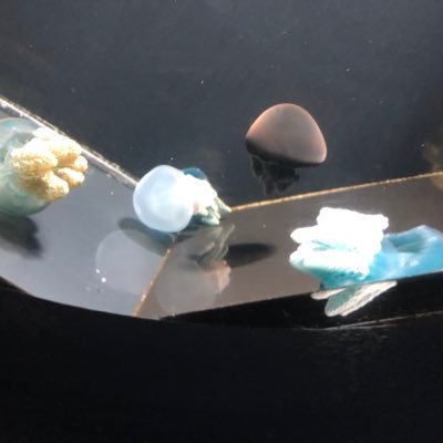 Asdf40546747's profile picture. つぶやき用