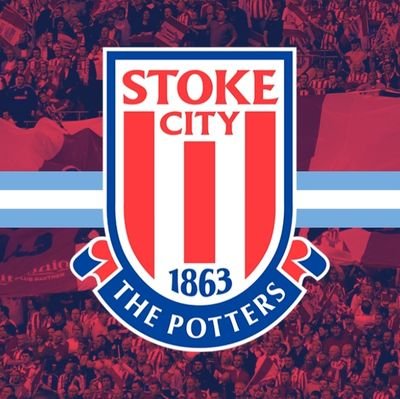 SCFCArg's profile picture. Cuenta NO oficial del @stokecity en Argentina 🇦🇷 
| Alentando a los Potters a miles de kilómetros de distancia❤️🤍