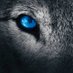 Leloup John (@leloup_john) Twitter profile photo Leloup John (@leloup_john) Twitter profile photo