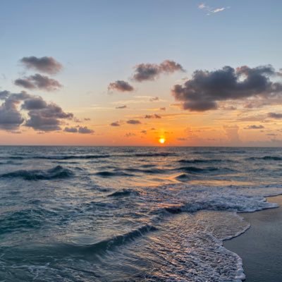 AlanJr80320505's profile picture. 