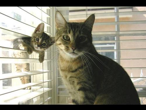 AtestZtest19's profile picture. 